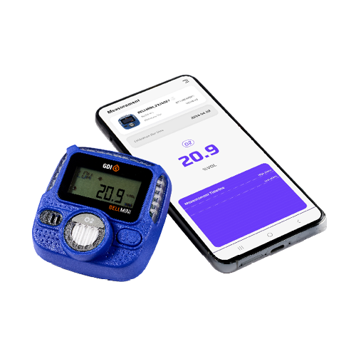 portable gas detector BELLMINI with app View